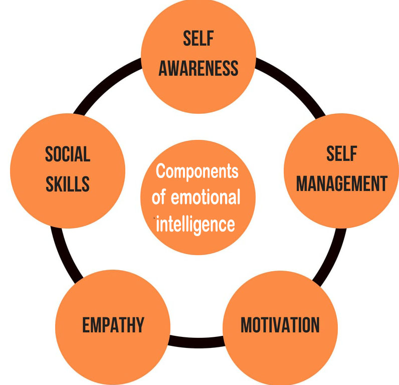 What Are The Major Components Of Emotional Intelligence