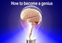How to become a genius