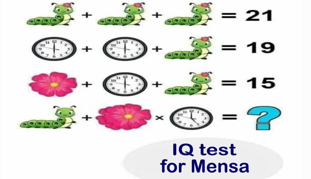 IQ test for Mensa What is Mensa society and how to join it Ultimate
