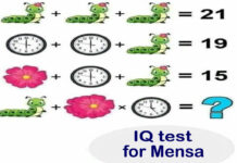 IQ test for Mensa